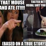 Woman Screaming at Cat | YOU KILLED THAT MOUSE ON MY BED AND ATE IT!!!! TASTED BETTER THAN THE USUAL SHIT YOU GIVE ME SHARON; (BASED ON A TRUE STORY) | image tagged in woman screaming at cat | made w/ Imgflip meme maker
