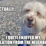 Actually Dog: Isolation | I QUITE ENJOYED MY ISOLATION FROM THE NEIGHBORS | image tagged in actually dog | made w/ Imgflip meme maker