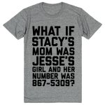 Stacy's Mom Jesse's Girl 867-5309 meme