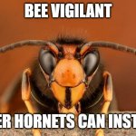 Murder hornets can install 5G | BEE VIGILANT; MURDER HORNETS CAN INSTALL 5G | image tagged in murder hornet,5g,tinfoil hat | made w/ Imgflip meme maker