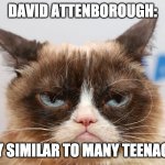 g | DAVID ATTENBOROUGH:; VERY SIMILAR TO MANY TEENAGERS | image tagged in grumpy god | made w/ Imgflip meme maker