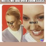 The WHAT | TEACHER:PLEASE REMOVE THE NOTES WE DID OVER ZOOM CLASS | image tagged in the what | made w/ Imgflip meme maker