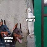 coronavirus | PEOPLE; CORONA 
VIRUS | image tagged in hiding cat | made w/ Imgflip meme maker