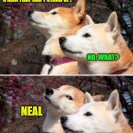 Guess I'm in the mood for dad jokes today... | HEY, YOU KNOW WHAT'S THE BEST NAME FOR A MAN THAT CAN'T STAND UP? NO, WHAT? NEAL | image tagged in shiba bad joke,hyuck hyuck hyuck | made w/ Imgflip meme maker