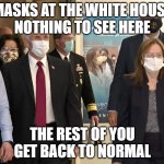 Mission Accomplished | MASKS AT THE WHITE HOUSE
NOTHING TO SEE HERE; THE REST OF YOU
GET BACK TO NORMAL | image tagged in vice president mike pence mask | made w/ Imgflip meme maker