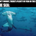 "Fish are friends not food" | "DON'T WORRY, THERE'S PLENTY OF FISH IN THE SEA"; THE SEA: | image tagged in hammerhead shark,sharks,single,single life | made w/ Imgflip meme maker