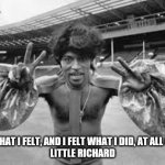 Little Richard | I DID WHAT I FELT, AND I FELT WHAT I DID, AT ALL COSTS. 
LITTLE RICHARD | image tagged in little richard | made w/ Imgflip meme maker