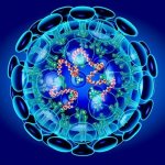corona virus