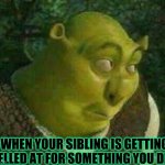 S H R E K | WHEN YOUR SIBLING IS GETTING YELLED AT FOR SOMETHING YOU DID | image tagged in funny shrek,shrek for five minutes,futurama fry | made w/ Imgflip meme maker