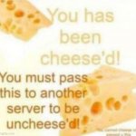 You has been cheeze'd | image tagged in you has been cheeze'd | made w/ Imgflip meme maker