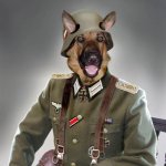 dog army meme