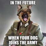 dog army | IN THE FUTURE; WHEN YOUR DOG JOINS THE ARMY | image tagged in dog army | made w/ Imgflip meme maker