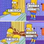 Simpsons Chair | MURDER HORNETS; AMERICA; MURDER HORNETS; AMERICA | image tagged in simpsons chair | made w/ Imgflip meme maker