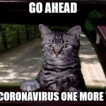 Toonces will drive you off a cliff! | GO AHEAD; SAY CORONAVIRUS ONE MORE TIME | image tagged in toonces | made w/ Imgflip meme maker