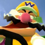 Wario Derp!