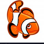 clown fish