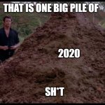 That is one big pile of shit | THAT IS ONE BIG PILE OF; 2020; SH*T | image tagged in that is one big pile of shit | made w/ Imgflip meme maker