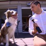 Dog interview