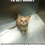 Kill You Cat | I'M NOT GOING TO GET ANGRY I'M JUST GOING TO THROTTLE YOU WITH MY BARE HANDS. | image tagged in memes,kill you cat | made w/ Imgflip meme maker