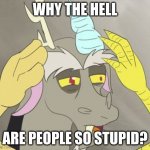 The internet is dumb! | WHY THE HELL; ARE PEOPLE SO STUPID? | image tagged in jc discord,memes,dumb,people,internet | made w/ Imgflip meme maker
