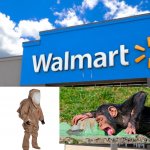 Walmart hazmat
