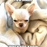 When someone is lying | THAT FACE YOU MAKE; WHEN YOU KNOW SOMEONE IS LYING TO YOU | image tagged in gigibug,liar liar,liars,grumpy dog | made w/ Imgflip meme maker