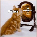 face vs ability | the browser history; the face | image tagged in cats and mirrors | made w/ Imgflip meme maker