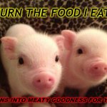 Baby piggy | I TURN THE FOOD I EAT... TURNS INTO MEATY GOODNESS FOR YOU... | image tagged in baby piggy | made w/ Imgflip meme maker