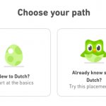 Duolingo tutorial skip