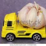 Truck o Garlic