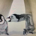 Penguin screaming at another penguin meme