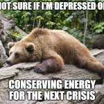 Conservation | NOT SURE IF I'M DEPRESSED OR; CONSERVING ENERGY FOR THE NEXT CRISIS | image tagged in procrastination bear | made w/ Imgflip meme maker