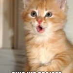 Funny animals | LET ALL CRATURES; SING HIS PRAISES | image tagged in funny animals | made w/ Imgflip meme maker