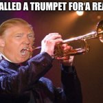trumpet | ITS CALLED A TRUMPET FOR A REASON | image tagged in trumpet | made w/ Imgflip meme maker