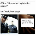 License and Registration meme