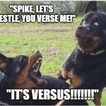 Verse VS. Versus | "SPIKE, LET'S WRESTLE, YOU VERSE ME!"; "IT'S VERSUS!!!!!!!" | image tagged in grammar,english,words | made w/ Imgflip meme maker