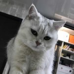 Mia The Kajit