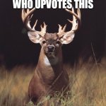 buck deer | EVERY BODY WHO UPVOTES THIS; REALLY GETS A BUCK | image tagged in buck deer,memes,funny,upvotes | made w/ Imgflip meme maker