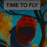 TIME TO FLY meme