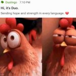 Duolingo suspicion | image tagged in squinting chicken,duolingo,language,spanish | made w/ Imgflip meme maker