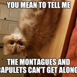 Romeo the cat | YOU MEAN TO TELL ME; THE MONTAGUES AND CAPULETS CAN'T GET ALONG! | image tagged in romeo the cat | made w/ Imgflip meme maker