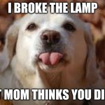 Dog Sticking Tongue Out | I BROKE THE LAMP; BUT MOM THINKS YOU DID IT | image tagged in dog sticking tongue out | made w/ Imgflip meme maker