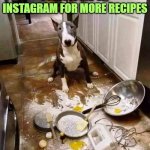 Cooking with Bruno | FOLLOW ME ON INSTAGRAM FOR MORE RECIPES | image tagged in cooking | made w/ Imgflip meme maker