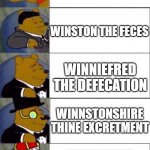 winnie the poop | WINNIE THE POOH; WINSTON THE FECES; WINNIEFRED THE DEFECATION; WINNSTONSHIRE THINE EXCRETMENT; WINNIEFRESDSTESHIREVE THINESTVE SOLID OR SEMISOLID REMAINS OF FOOD THAT COULD NOT BE DIGESTED IN THE SMALL INTESTINE | image tagged in pooh 5 panel | made w/ Imgflip meme maker