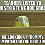 The Birb | TEACHER: LISTEN TO THIS TO GET A GOOD GRADE; ME: LOOKING UP FROM MY COMPUTER FOR THE FIRST TIME | image tagged in the birb | made w/ Imgflip meme maker