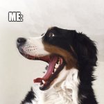 What the hell happended! | ME: WHAT HAPPENS IF I FORCIBLY BEND THIS THING? THING: *BREAKS*; ME: | image tagged in surprised dog | made w/ Imgflip meme maker
