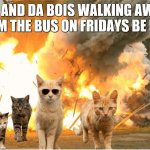 this is how it works for me | ME AND DA BOIS WALKING AWAY FROM THE BUS ON FRIDAYS BE LIKE: | image tagged in cats walking away from explosion,cool | made w/ Imgflip meme maker