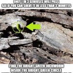 Facebook IQ Test | FACEBOOK  I.Q. TEST
ONLY 1 IN 3 GENIUSES WILL PASS
SEE IF YOU CAN SOLVE IT IN LESS THAN 3-MINUTES; FIND THE BRIGHT GREEN INCHWORM INSIDE THE BRIGHT GREEN CIRCLE 
WITH A BRIGHT GREEN ARROW POINTING TO IT | image tagged in facebook genius,memes,funny memes | made w/ Imgflip meme maker
