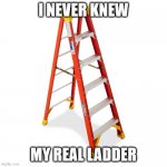 Step ladder | I NEVER KNEW; MY REAL LADDER | image tagged in step ladder | made w/ Imgflip meme maker