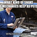 Bad Dad Joke May 15 2020 | WHAT KIND OF SNAKE DO MECHANICS KEEP AS PETS? WINDSHIELD VIPERS. | image tagged in internet mechanic | made w/ Imgflip meme maker